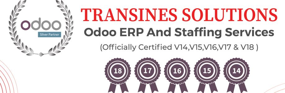 Transines Solutions Cover Image
