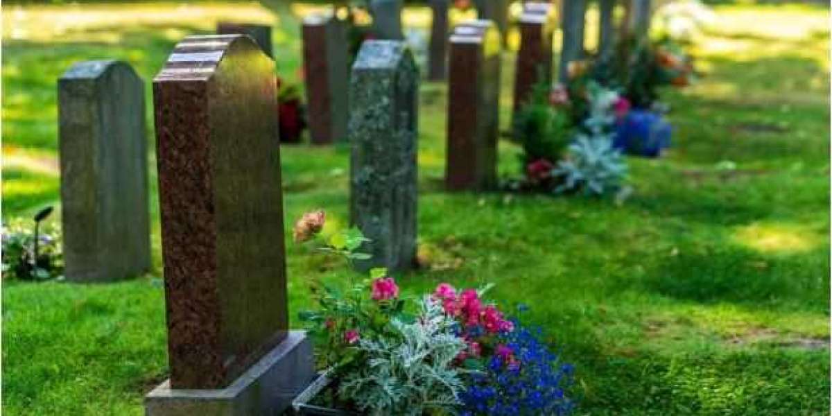 7 Must-Know Facts About Central Monument Haughton
