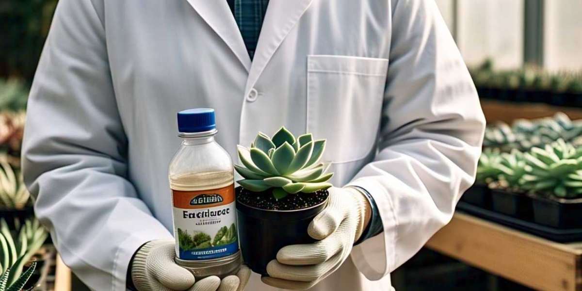 Fertilizer Market Analysis by Type, Material, End-User & Region 2025–2033