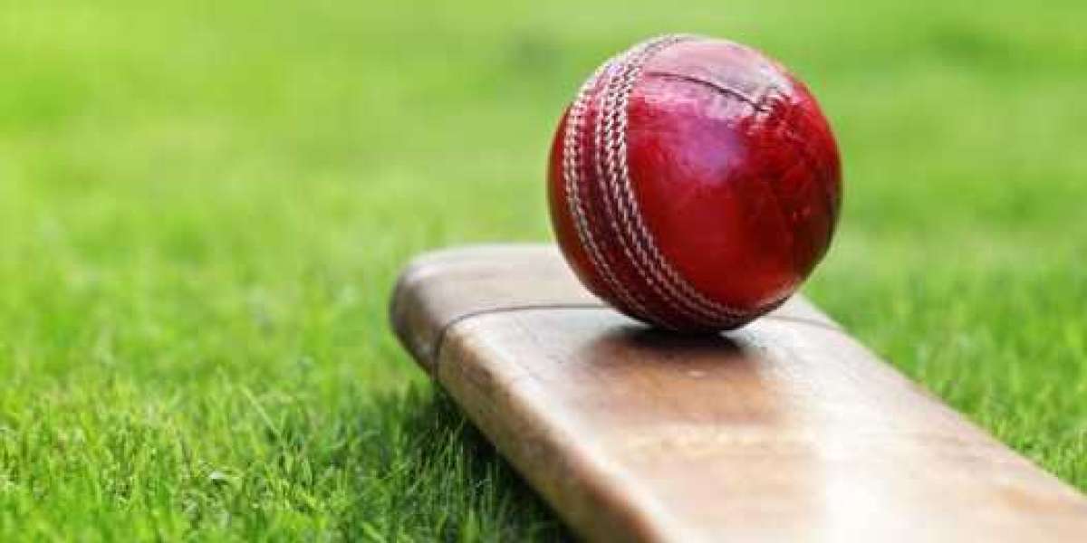 Unlock the Game: Get the Best Online Cricket ID with Amiribook