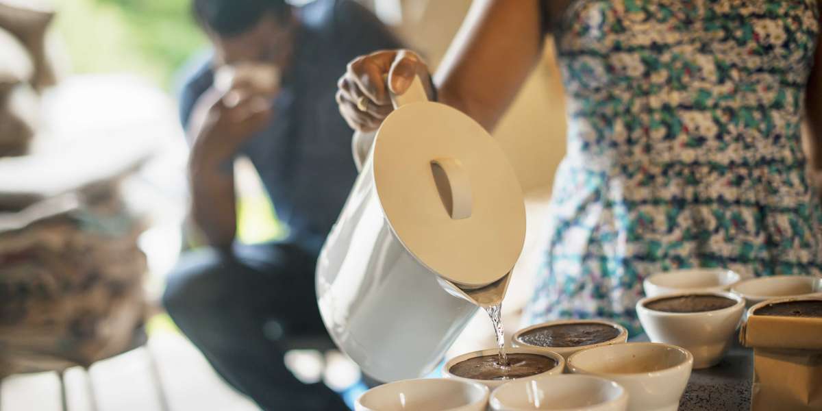 Why Is There All This Fuss About Tassimo Machine Bosch?