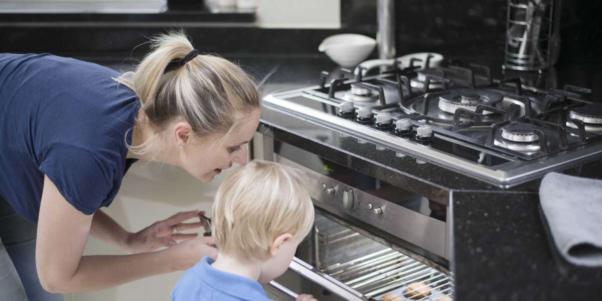 The Most Valuable Advice You Can Ever Get About Cooker Integrated