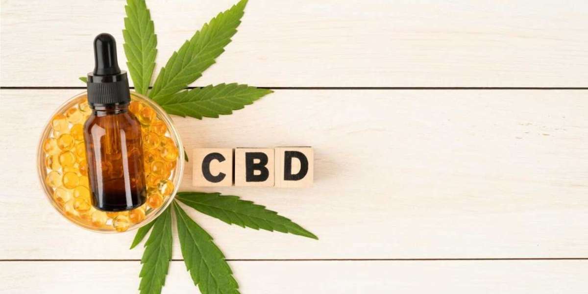 Pourquoi le CBD Royan séduit de plus en plus les amateurs de bien-être