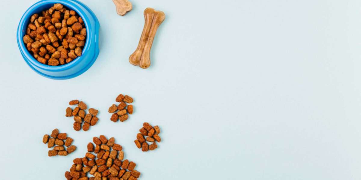 Understanding the Benefits of Dog Supplements: From Joints to Digestion