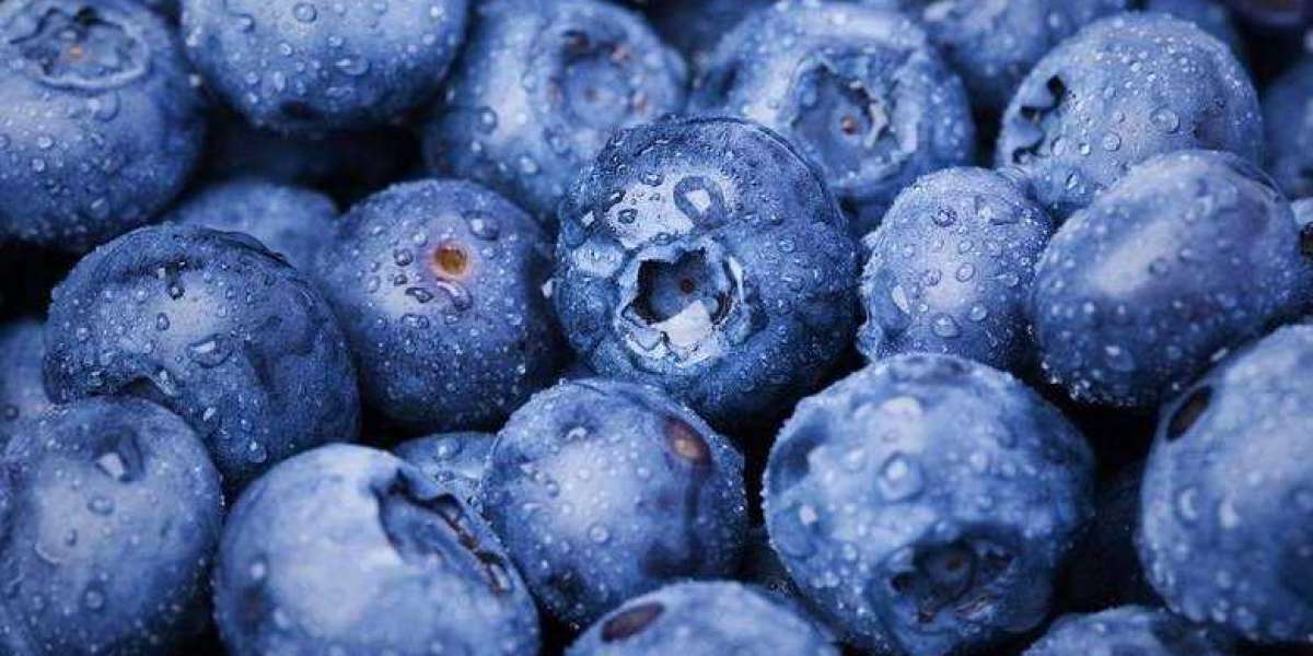 Growing Strong: Trends Shaping the Global Blueberries Market