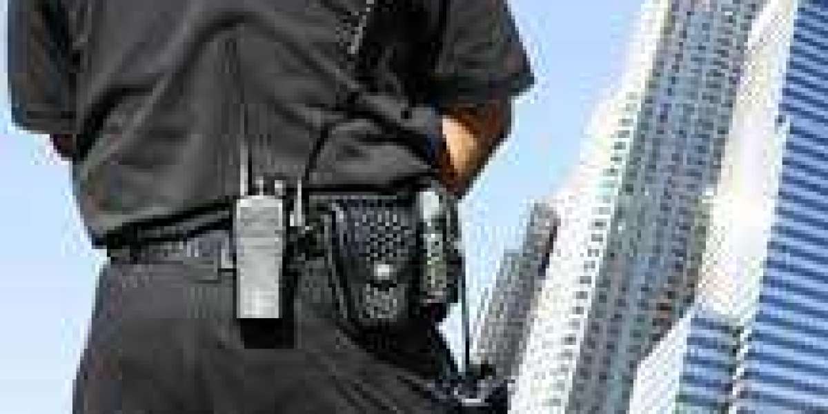 Customized Protection Services in Lakeville Tailored for Your Needs