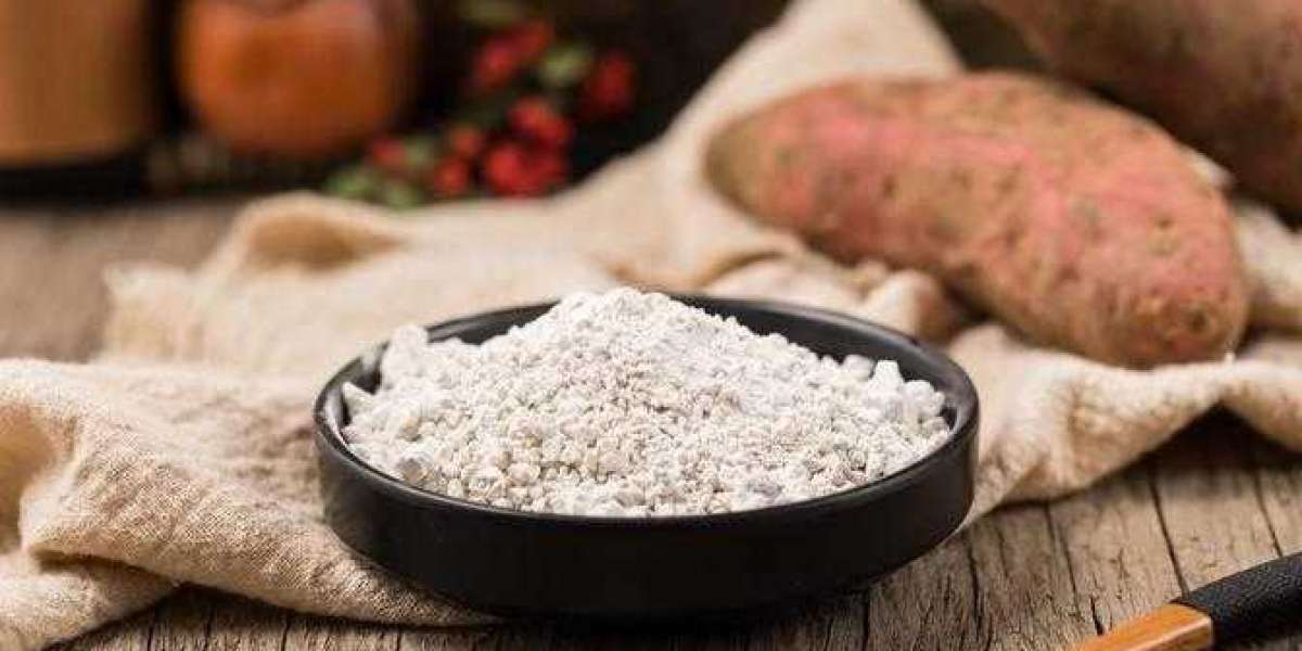 Sweet Potato Flour Market 2031: Growth Factors, Competitive Landscape, and Trends