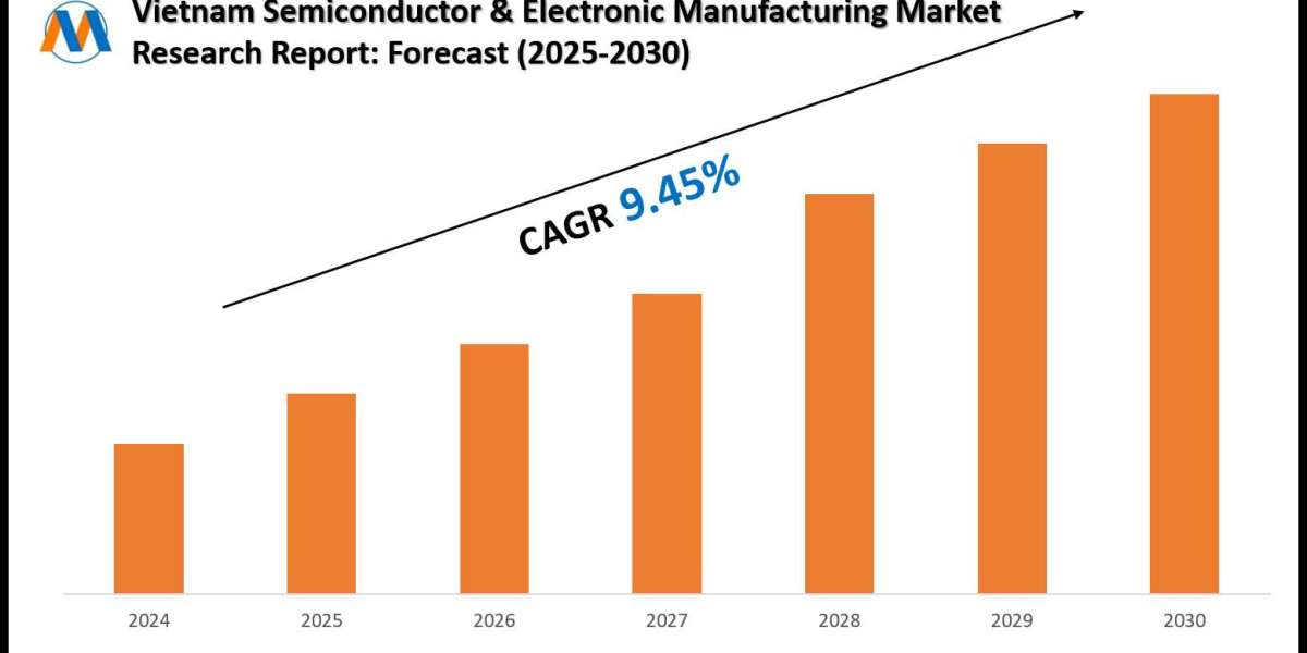 Vietnam Semiconductor & Electronic Manufacturing Market Size & Value Forecast with Trends to 2030