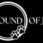 thesoundofjungle