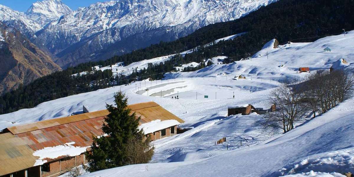 Plan a Memorable Trip with Chopta Tour Packages