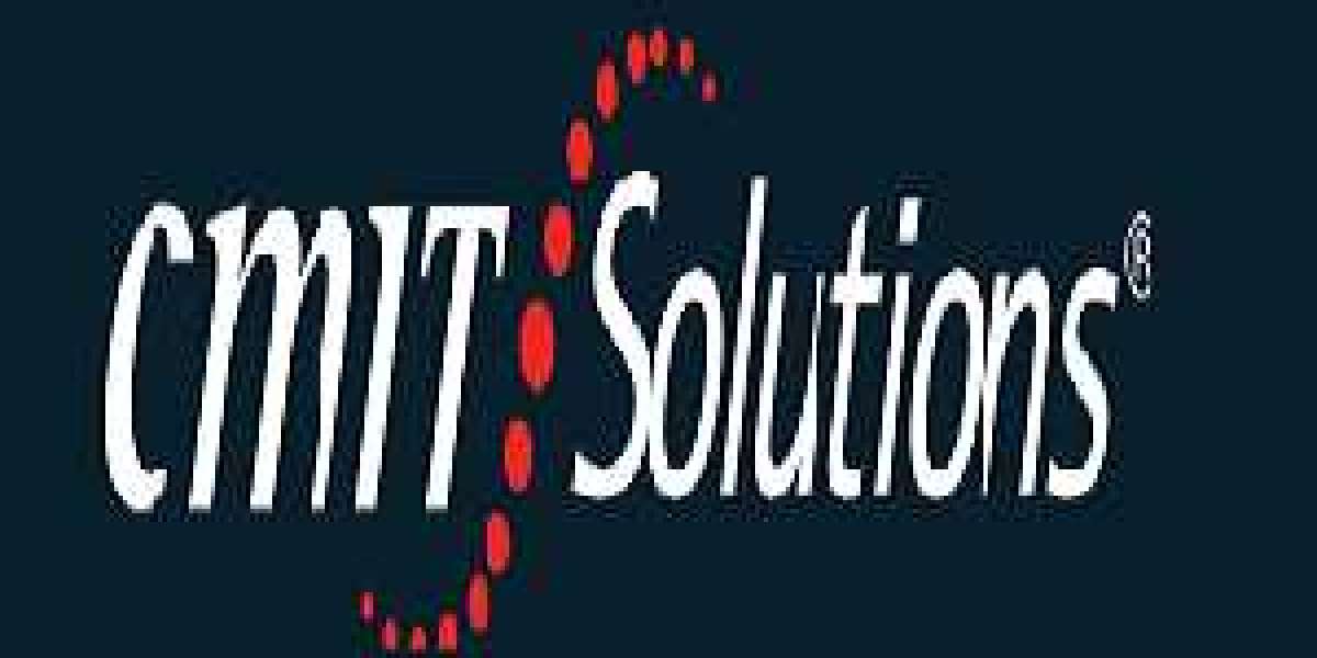 Network Management Pitfalls: Avoiding Losses in Time and Money