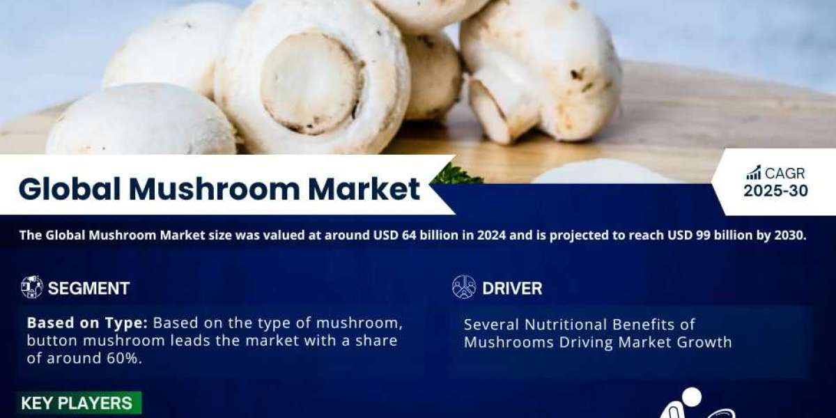 Global Mushroom Market Forecast 2025-2030: Growth at 8% CAGR Expected