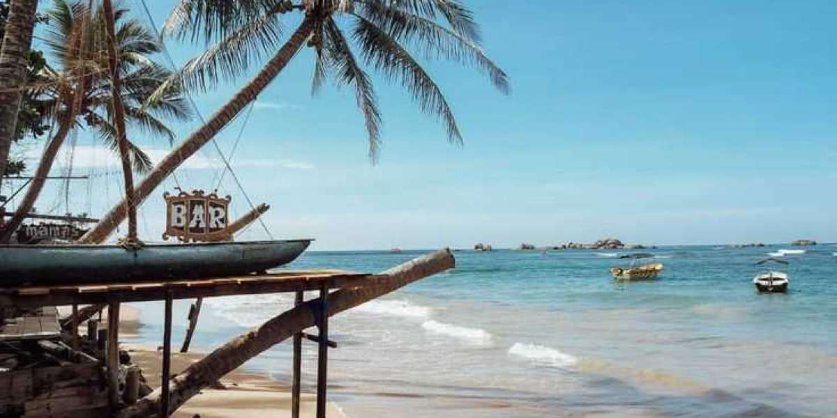 Sri Lanka Tourist Adventures: From Tea Hills to Tropical Beaches