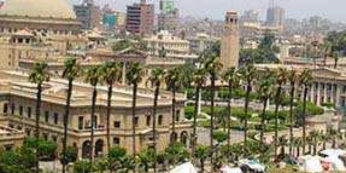 Why Egypt is the New Hub for Studying MBBS Abroad