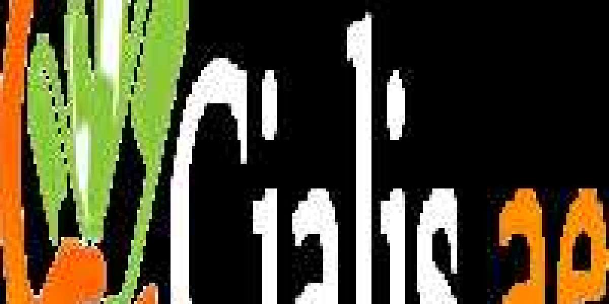 Cialis – Trusted Wellness Solutions in UAE