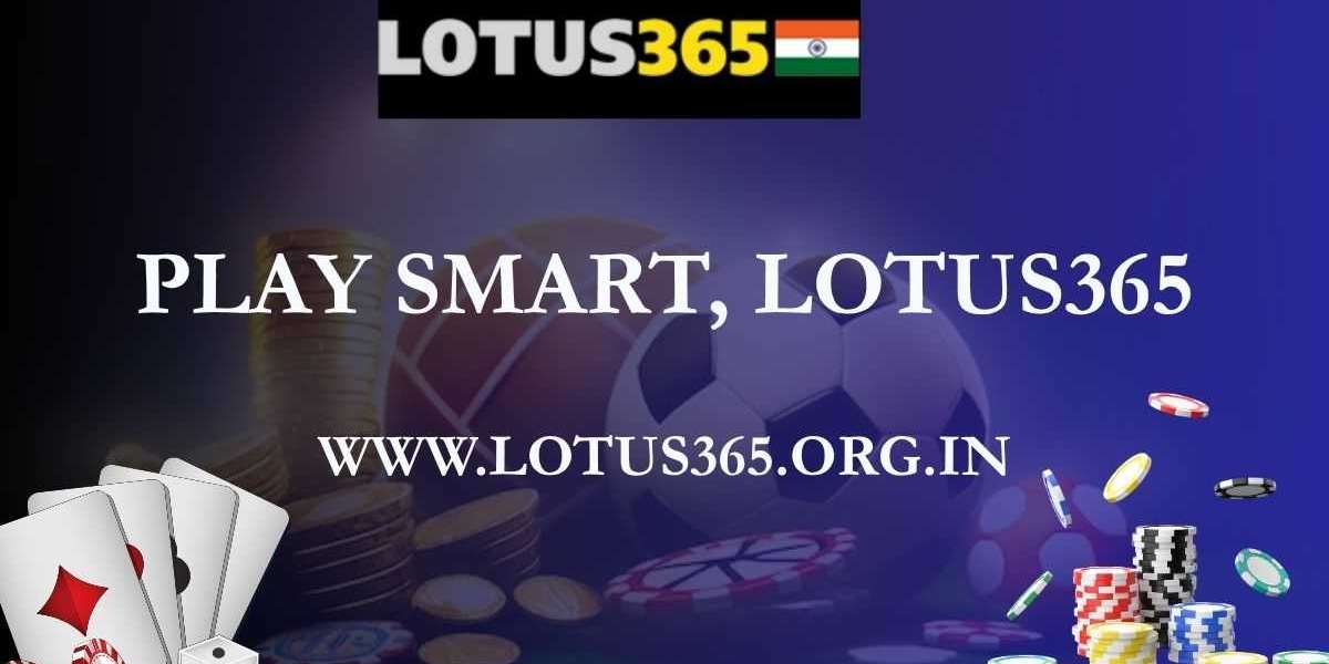 Why Lotus365 Is the Top Choice for 24/7 Sports Action and Updates