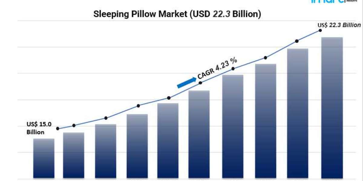 Sleeping Pillow Market 2025–2033: Growth Drivers, Trends & Revenue Forecast