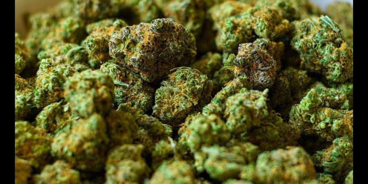 Weed Delivery in Elora | Convenient and Reliable