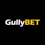 Gullybet game Profile Picture