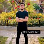adeeb Noor