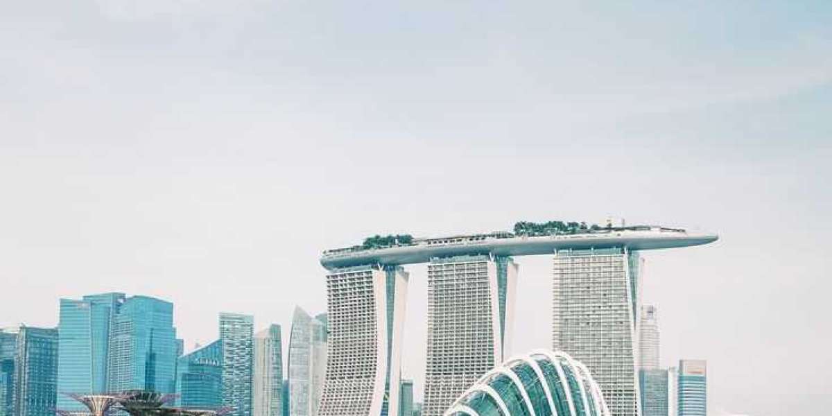 Unforgettable Experiences for Kids and Adults on Your Next Global Holiday