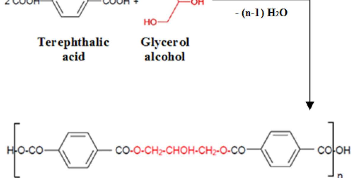 Recycled Terephthalic Acid Market: Current Trends and Future Outlook