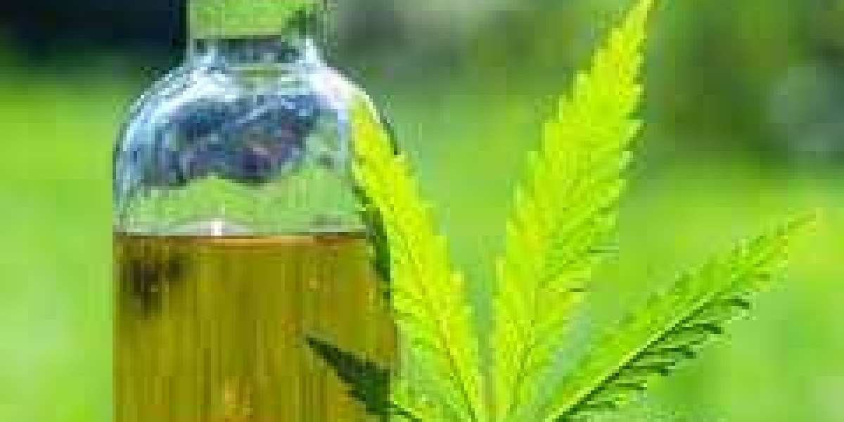 CBD Saintes : comment cette molécule transforme la vie des utilisateurs ?