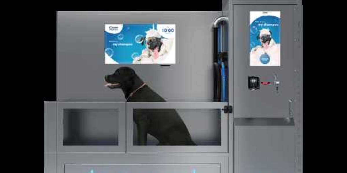 Essential Pet Wash Machines: Cozy, Clean, and User-Friendly