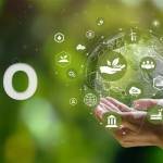 Eco Energy Improvement