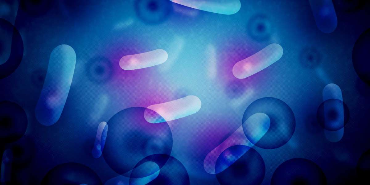 Exploring Reasonably Priced Treatments For Erectile Dysfunction
