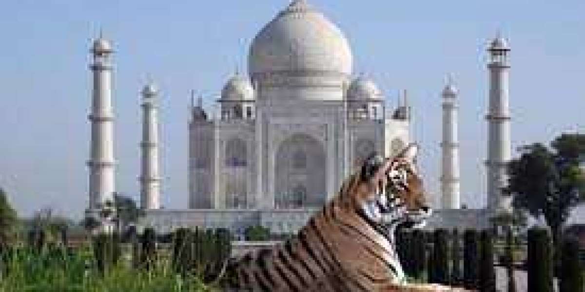 Vacation to India with Incredible Attractions Forever