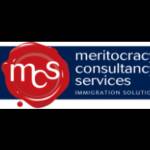 Meritocracy Services