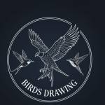 birds drawing
