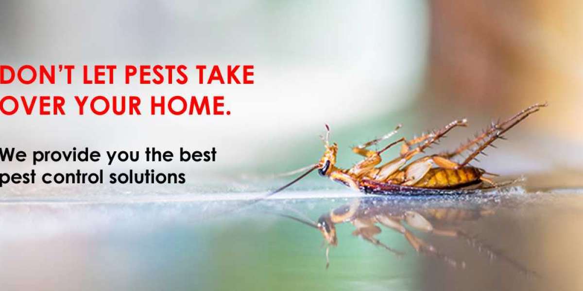 Cockroaches, Rodents, and More: Comprehensive Pest Control in Noida Solutions