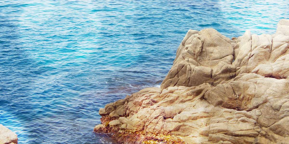 Observational Analysis on Natural Treatments For Consuming Disorders