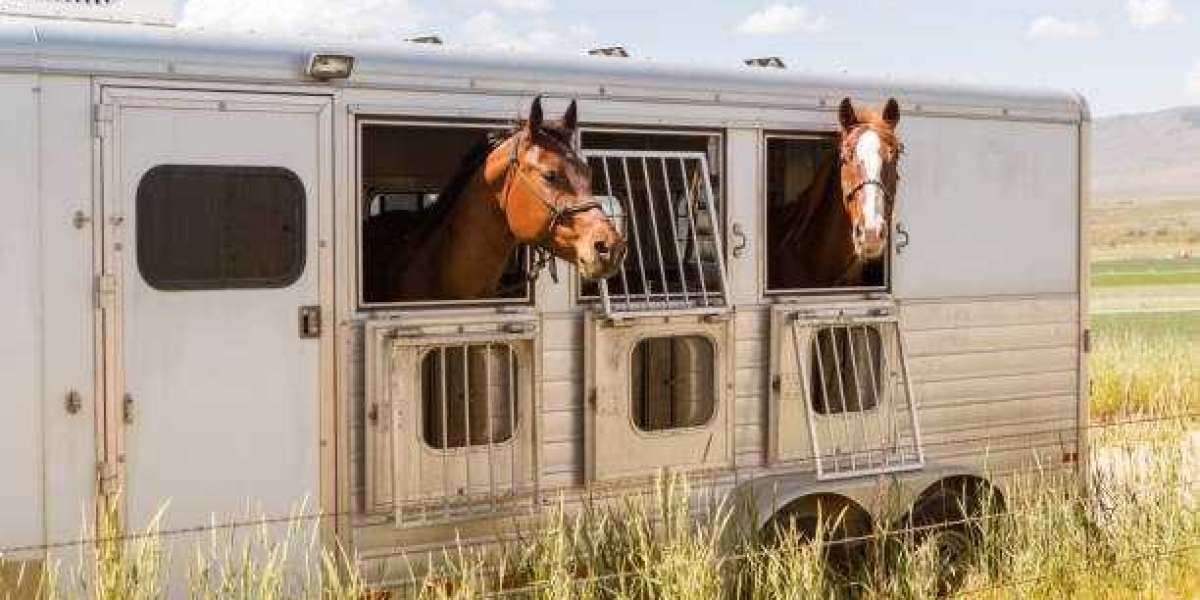 Everything You Need to Know About Horse Trailers
