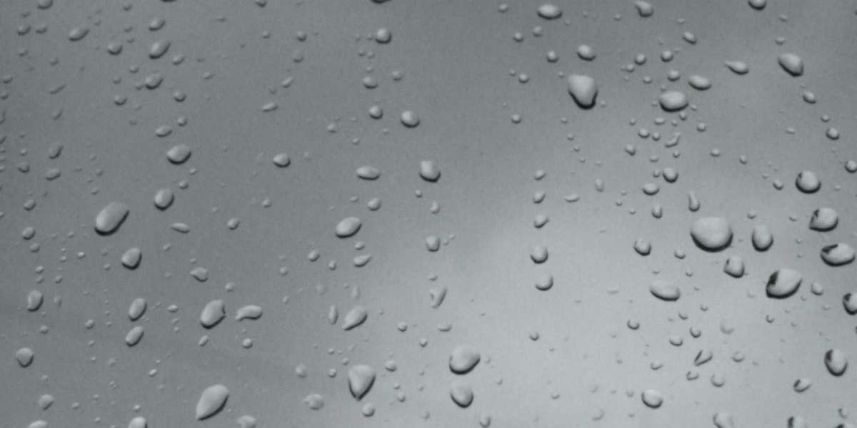 WinSpirit Сasino Reviews Read Customer Service Reviews of winspirit com