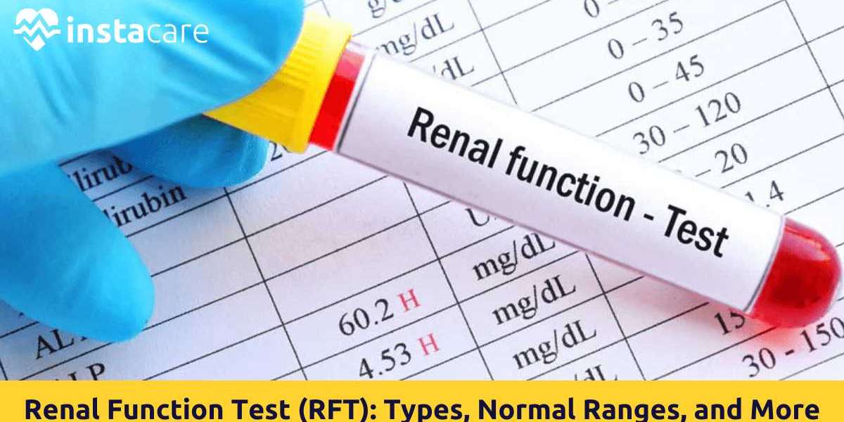 Kidney Health Decoded: Why Renal Function Tests Matter