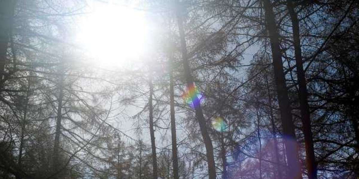 Best Real Money Australian Online Casino Sites for 2025