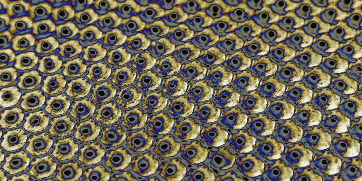 Experience the Thrill of Live Casino Gaming