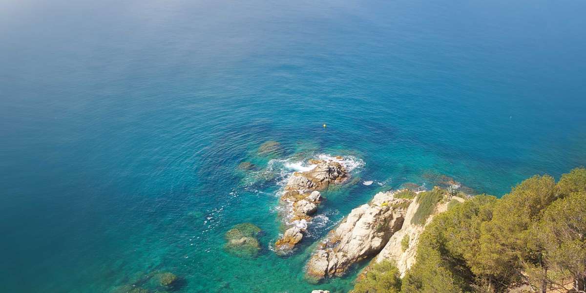 Erectile Dysfunction Treatment Pills: A Comprehensive Research Report