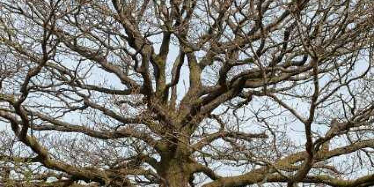 ASX SGR: Rescue deal for Star Entertainment wont solve its existential crisis