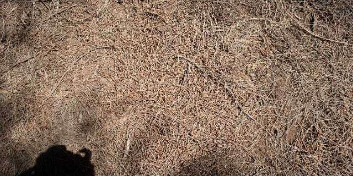 Richard Casino Opptil 50 000 KR bonus Registrer Logg inn