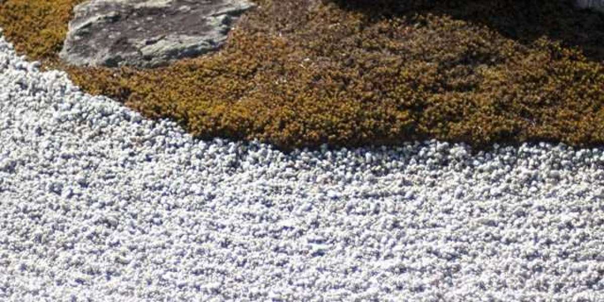 Royal Reels Review 2025