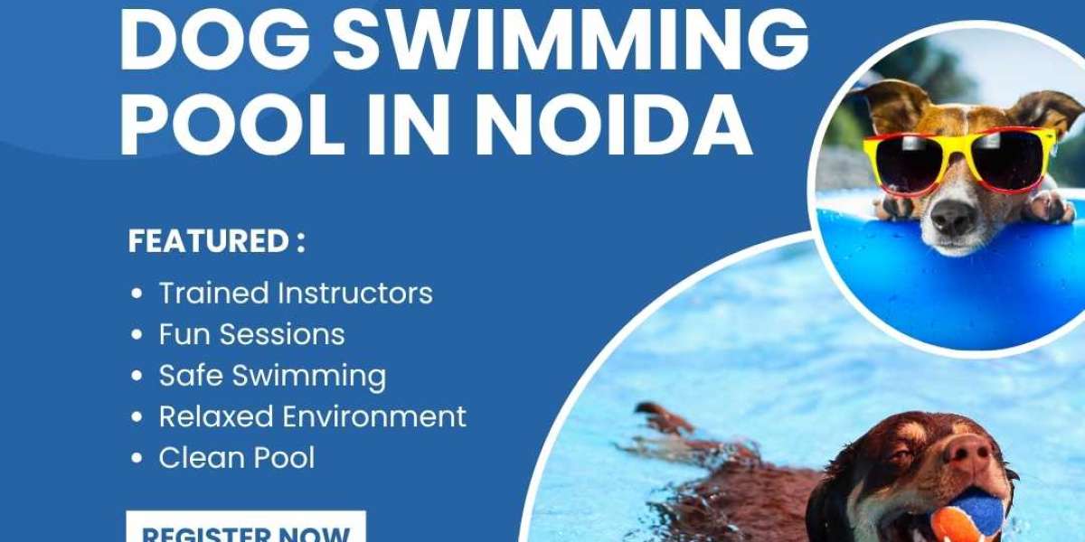 Best Dog Swimming Pool in Noida | Safe & Fun Splash Time at Pet Me Maa
