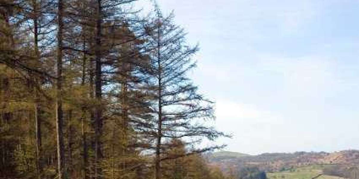 Sign In to Your Account Safely