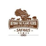 Beyond the plains safaris