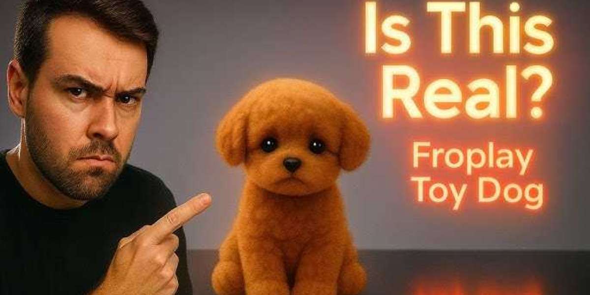 Froplay Dog Benefits What Makes This Toy So Popular?