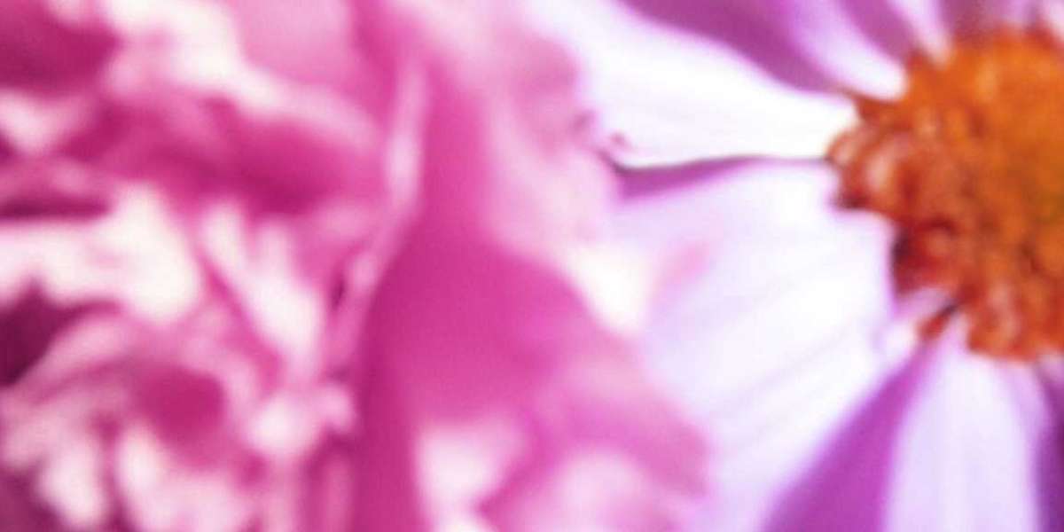 10 Best New Online Casinos for Real Money Play in 2025