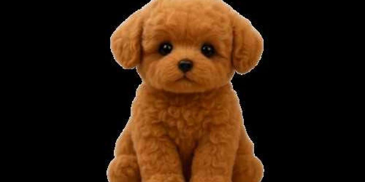 Froplay Dog Toy The Smart Choice for Caring Pet Owners